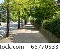 Trees, trees, road, trees 66770533