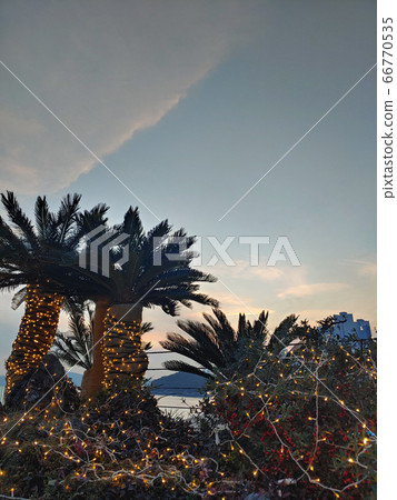 Glow, christmas, palm trees, sunset 66770535