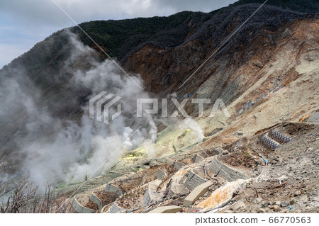 [神奈川縣]箱根山（6月） 66770563