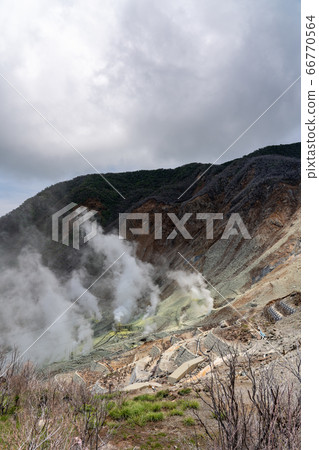 [神奈川縣]箱根山（6月） 66770564
