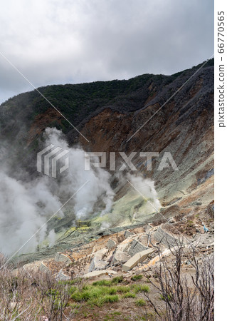 [神奈川縣]箱根山（6月） 66770565