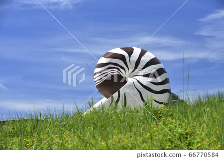 貝殼,鸚鵡螺,藝術裝置,潮境公園,海岸風景 66770584