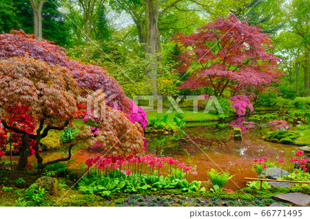 Japanese garden, Park Clingendael, The Hague, Netherlands 66771495