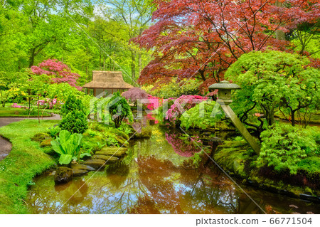 Japanese garden, Park Clingendael, The Hague, Netherlands 66771504