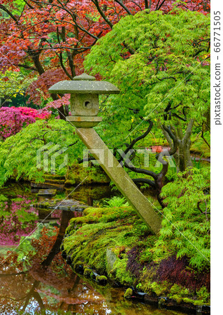 Japanese garden, Park Clingendael, The Hague, Netherlands 66771505