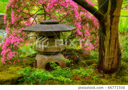 Japanese garden, Park Clingendael, The Hague, Netherlands 66771508