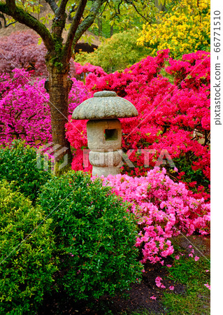 Japanese garden, Park Clingendael, The Hague, Netherlands 66771510