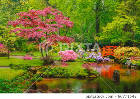 Japanese garden, Park Clingendael, The Hague, Netherlands Japanese garden, Park Clingendael, The Hague, Netherlands 66771542