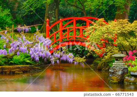 Japanese garden, Park Clingendael, The Hague, Netherlands Japanese garden, Park Clingendael, The Hague, Netherlands 66771543
