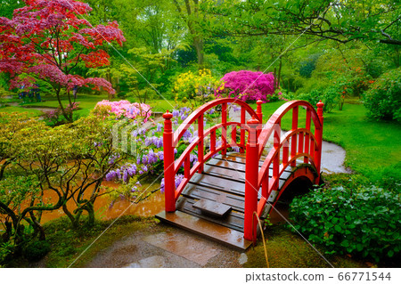 Japanese garden, Park Clingendael, The Hague, Netherlands Japanese garden, Park Clingendael, The Hague, Netherlands 66771544