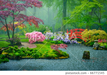 Japanese garden, Park Clingendael, The Hague, Netherlands Japanese garden, Park Clingendael, The Hague, Netherlands 66771545