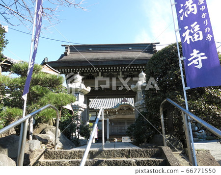 Manpukuji Temple in Kamakura City (Sanmon/Main Hall) Manpukuji Temple in Kamakura City (Sanmon/Main Hall) 66771550