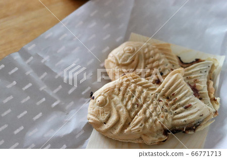 鯛 鯛 66771713