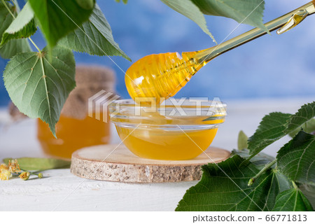 Linden Honey in Jar and bowl with a honey dipper on a white wooden background. Defocused branch of linden in the foreground. 66771813
