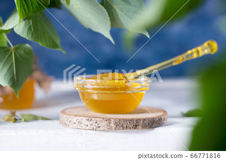 Linden Honey in Jar and bowl with a honey dipper on a white wooden background. Defocused branch of linden in the foreground. 66771816