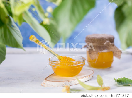 Linden Honey in Jar and bowl with a honey dipper on a white wooden background. Defocused branch of linden in the foreground. 66771817