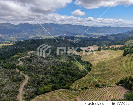 Aerial view of Napa Valley vineyard landscape  66772092
