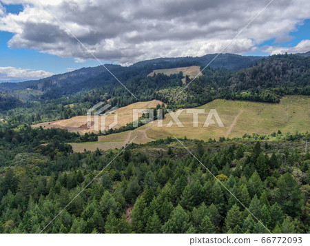 Aerial view of Napa Valley vineyard landscape Aerial view of Napa Valley vineyard landscape 66772093