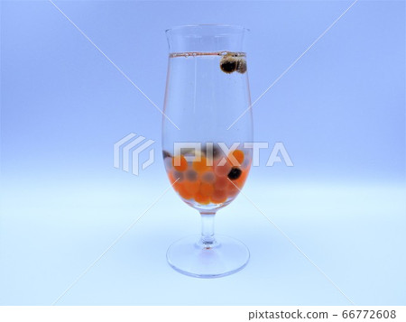 Tapioca 22 66772608