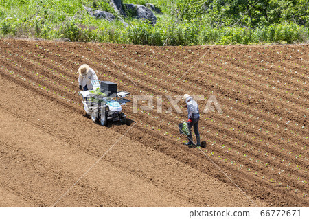 Agricultural field planting 66772671