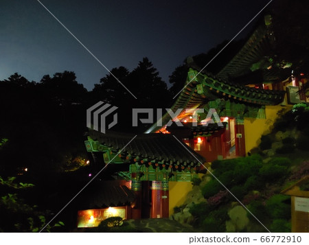 Lion's Bird Lion's Bird 66772910