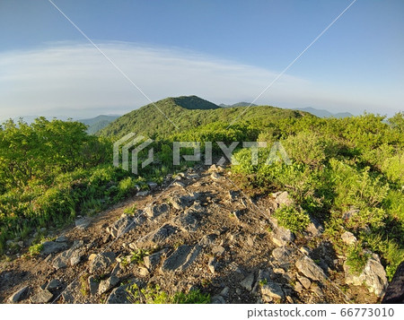 大台山市經濟廳線 大台山市經濟廳線 66773010