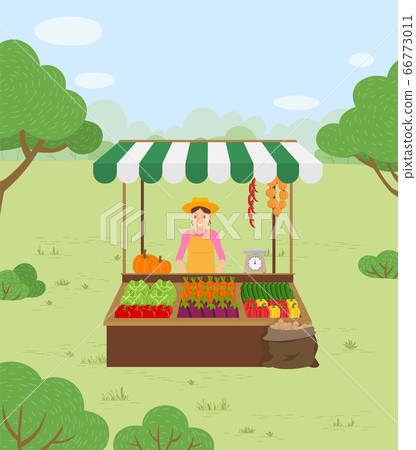 Farmer Sells Vegetables in Autumn Harvest Time Farmer Sells Vegetables in Autumn Harvest Time 66773011