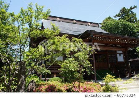 Nakano City Nyorai Temple Early Summer 66773324
