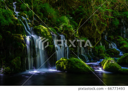 The flow of Mototaki Fushiryo and Mototaki River in early summer Nikaho City, Akita Prefecture 66773493