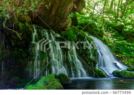 The flow of Mototaki Fushiryo and Mototaki River in early summer Nikaho City, Akita Prefecture 66773499