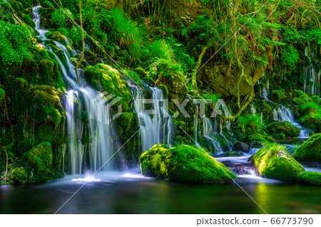 The flow of Mototaki Fushiryo and Mototaki River in early summer Nikaho City, Akita Prefecture 66773790