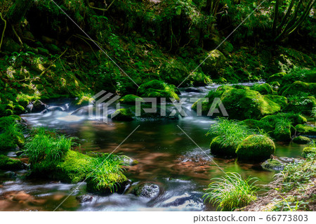 The flow of Mototaki Fushiryo and Mototaki River in early summer Nikaho City, Akita Prefecture 66773803