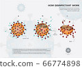 How disinfectant work and kill Coronavirus or Covid19 or Sar COV 2 info graphic 66774898