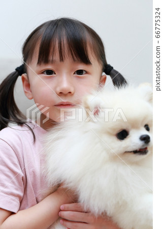 女孩抱著她的狗博美犬 女孩抱著她的狗博美犬 66775324