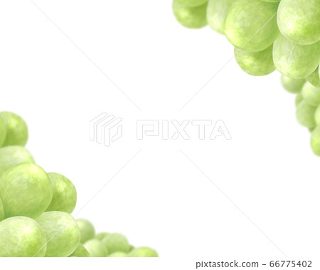Muscat frame - Stock Illustration [66775402] - PIXTA