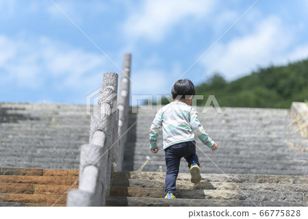 Rear view of a 3 year old boy climbing the stairs Rear view of a 3 year old boy climbing the stairs 66775828