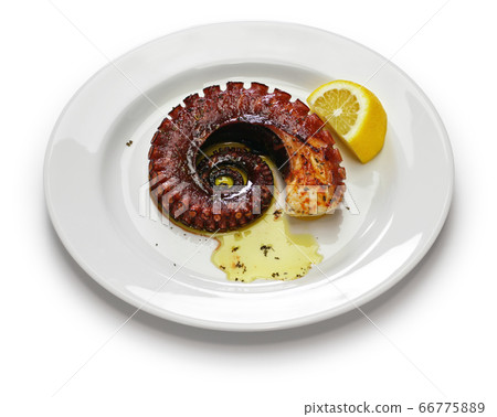 Grilled octopus 66775889