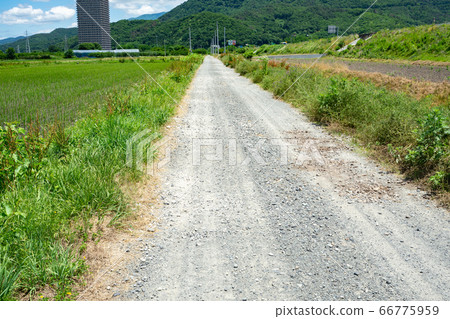 土土路農場之路碎石路農村 66775959