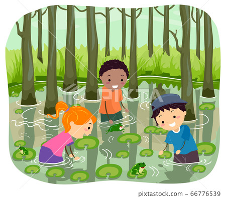 Stickman Kids Swamp Water Search Frog Illustration - Stock Illustration  [66776539] - PIXTA