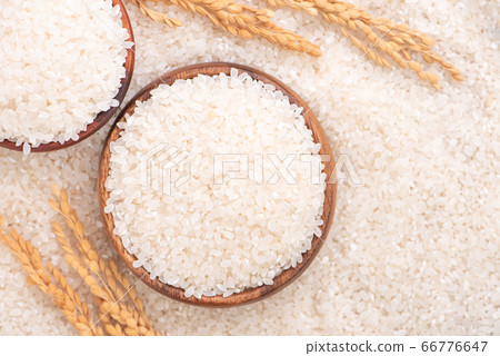 米 原料 生的 白米 頂視圖 raw rice ingredient 白ごはん 66776647