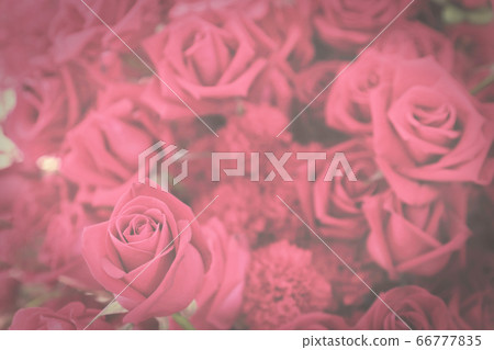 Dark toned vintage flowers background of pink 66777835