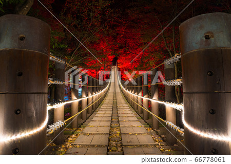 Illuminated night view of the Hananuki Valley Shiomidaki Suspension Bridge, autumn and winter (Takahagi City, Ibaraki Prefecture) November 2019 66778061
