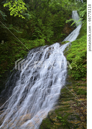 Shiraaya Falls（兵庫縣朝來市） 66778118