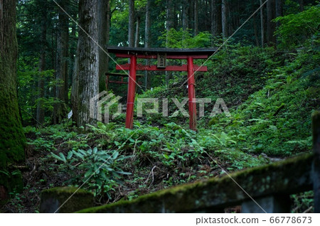榛名山的鳥居 榛名山的鳥居 66778673