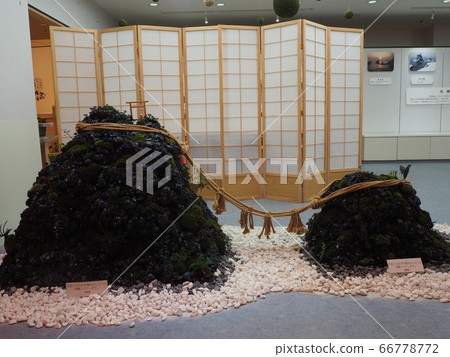 情侶搖滾 66778772