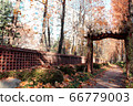 秋季道路風光與落葉 66779003