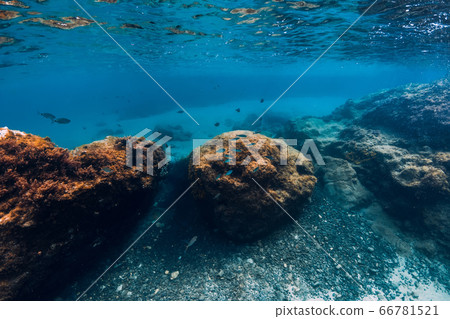 Underwater scene with rocks in blue water in the ocean 66781521