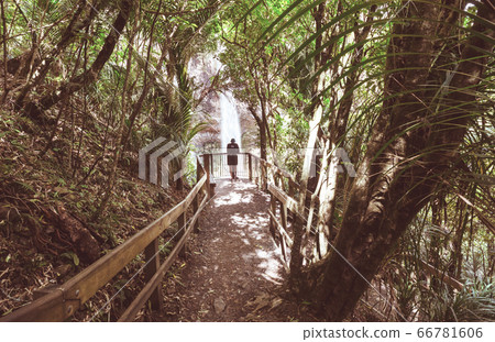 New Zealand waterfall New Zealand waterfall 66781606