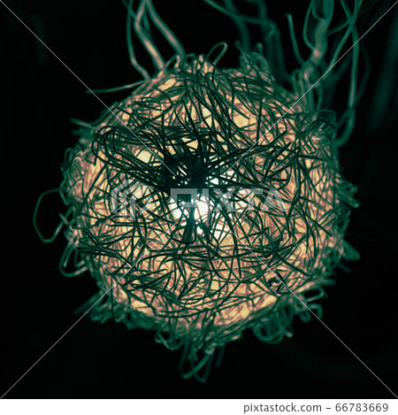 Retro rattan lamp in the shape of a ball 66783669