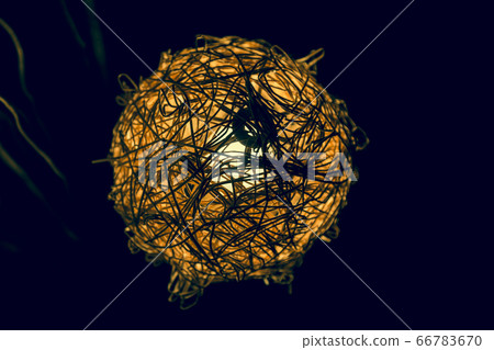 Retro rattan lamp in the shape of a ball 66783670